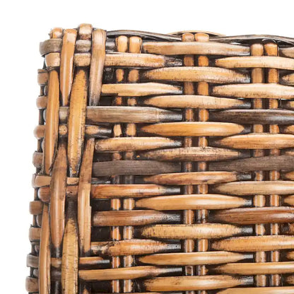 Fauteuils d'intérieur inclinés SAFAVIEH Charolette en résine tressée marron (lot de 2) - 51 x 61 x 99 cm - 51 x 61 x 99 cm