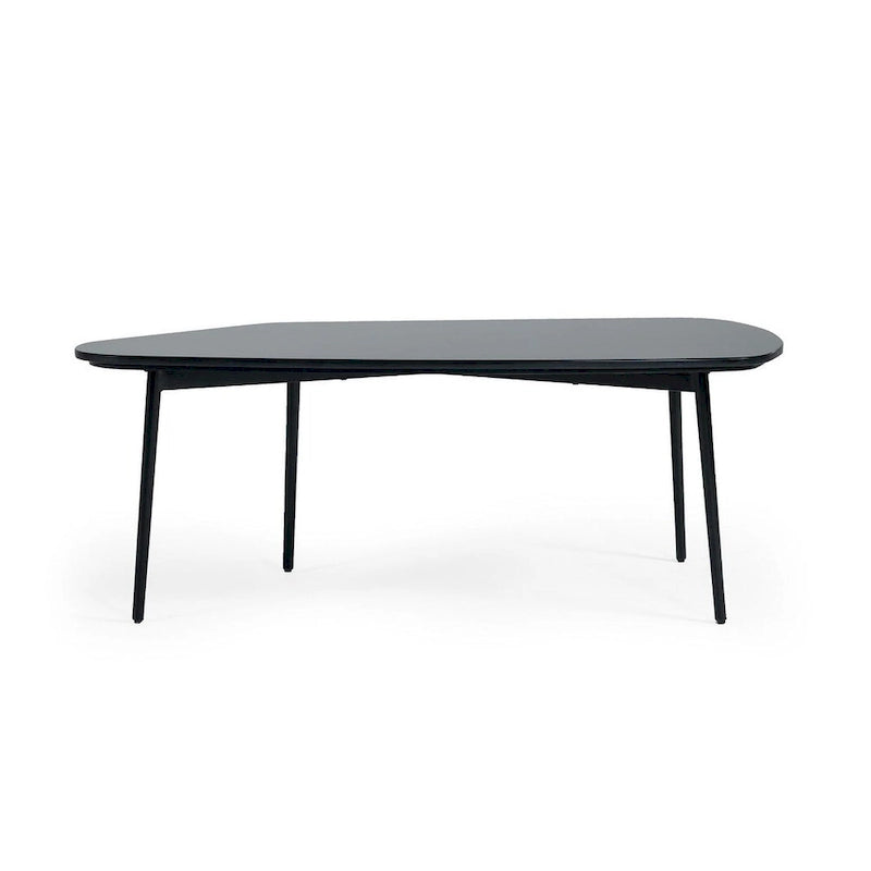 Table basse HomeRoots 47 en marbre noir et noir, forme libre